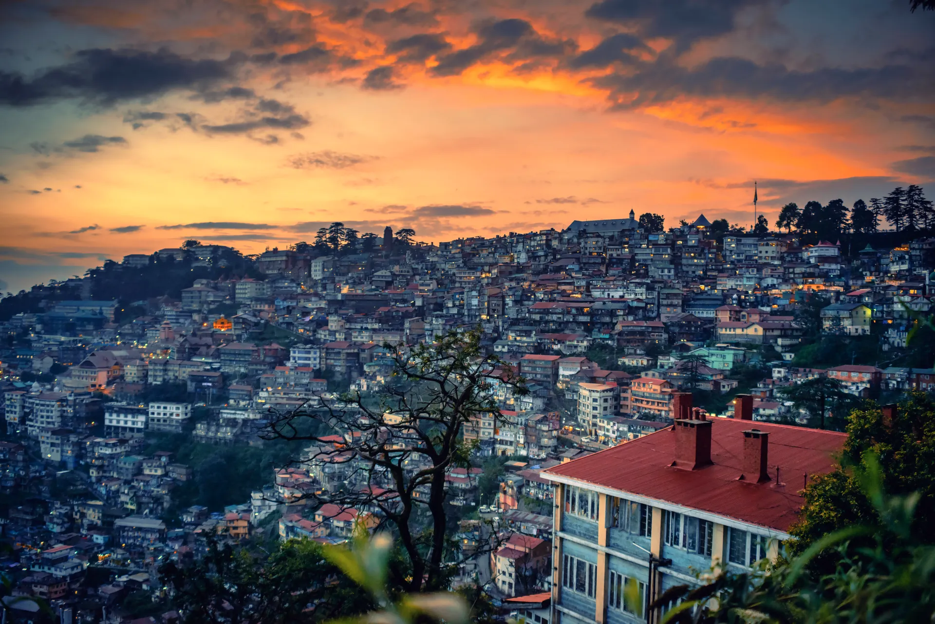 shimla