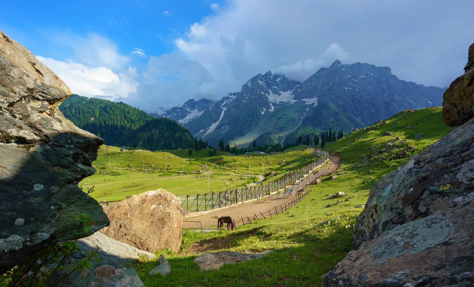 srinagar